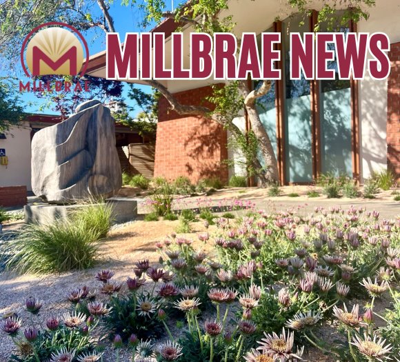 City Hall Drought Tolerant Landscaping