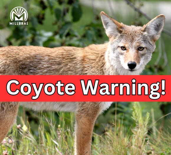 Coyote Warning 