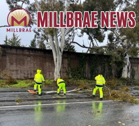 Millbrae News, Millbrae Public Works Crews clean tree debris from the roadway
