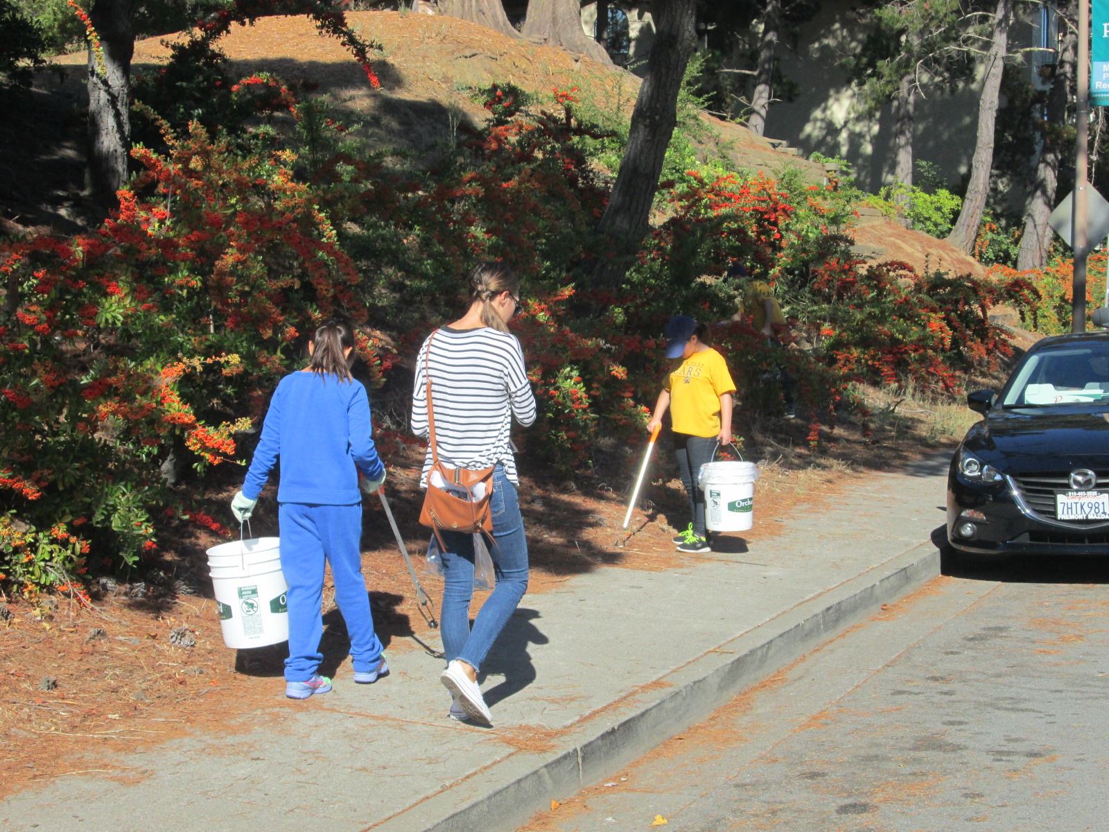 Volunteers collect litter near Central Park