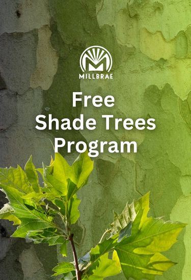 Free Shade Trees Program