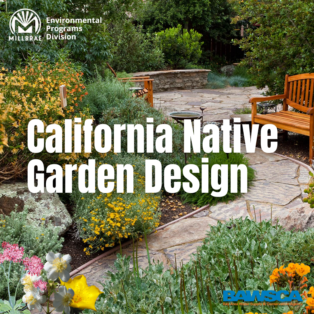California Native Plant Design Cover