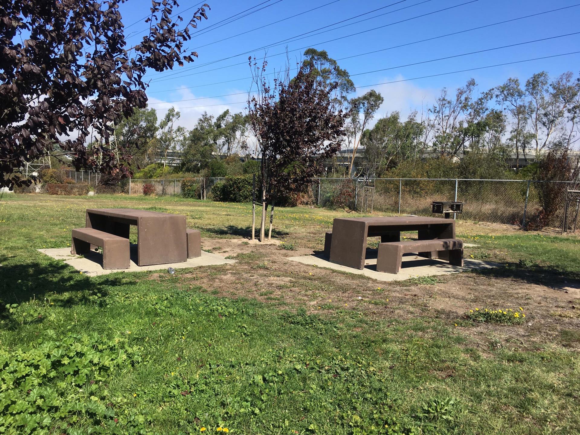 Marina Vista Picnic Tables