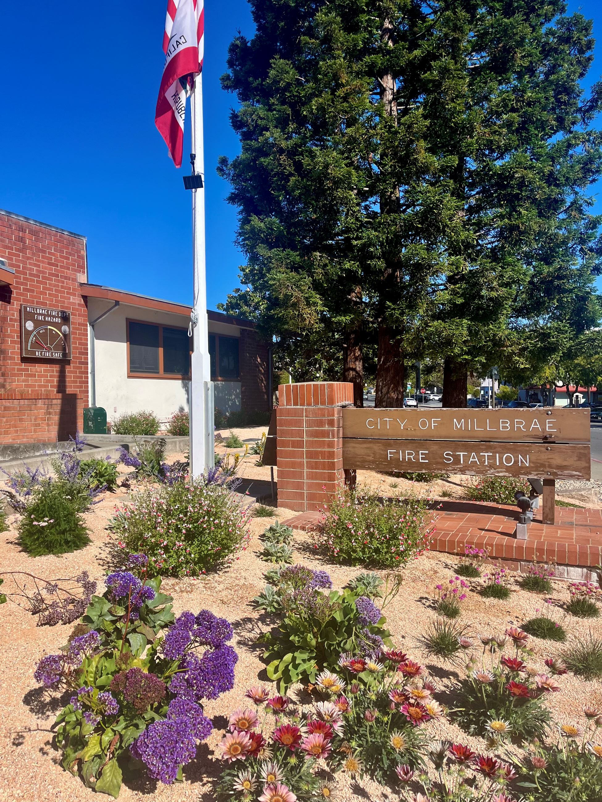 Drought Tolerant Landscaping in front of City Hall 